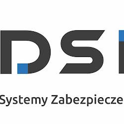 Dsintegracje - logo