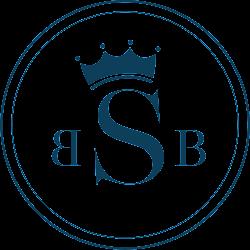 Synergybbs - logo