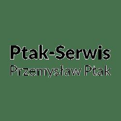 Ptak serwis warsztat samochodowy - logo