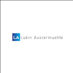 Thebusinesslitigators - logo
