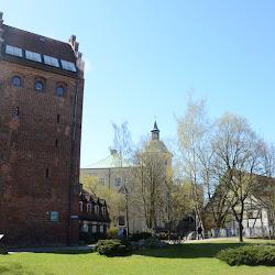 Muzeum - logo