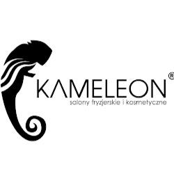 Salonykameleon - logo