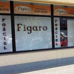 Figaroposciel - logo