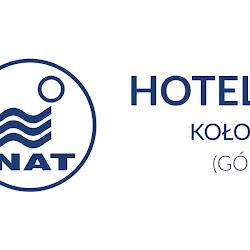 Nat - logo