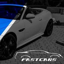 Fast cars - logo