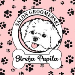 Strefapupila - logo