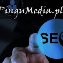 Pingumedia - logo