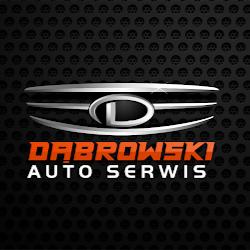 Dabrowski-uslugi - logo