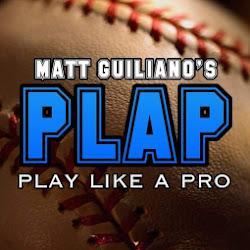 Playlikeaprobaseball Hauppauge - logo