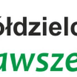 Bsdzierzoniow - logo