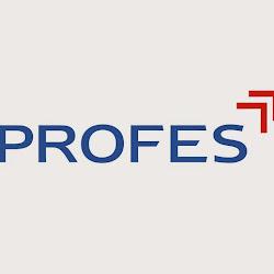 Profes - logo