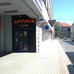 Anturja - logo