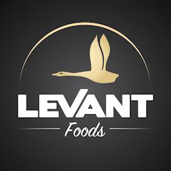 Levant - logo