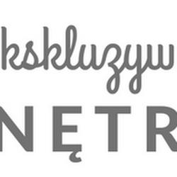 Ekskluzywnewnetrze - logo