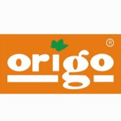 Origo - logo