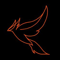 Phoenix car detailing - logo