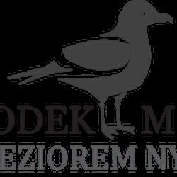 Mewa - logo