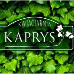 Kwiaciarniakaprys - logo