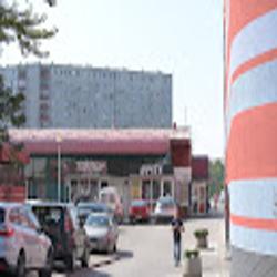 Halastrzegomska - logo