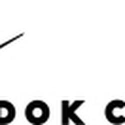 Vidokclinic - logo