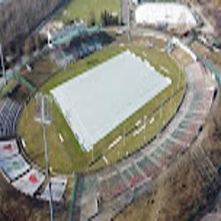 Zaglebie - logo