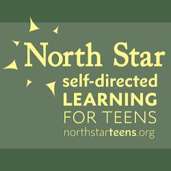 Northstarteens - logo