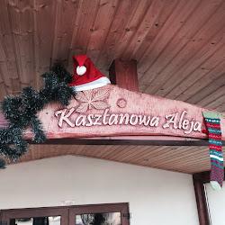 Aleja-kasztanowa - logo