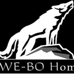 Lowe-bohomes - logo