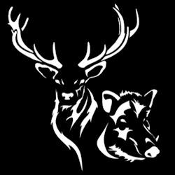 Nagan - logo