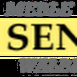 Maxfornir - logo