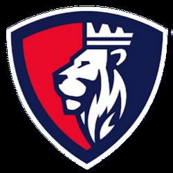 Kingsoft - logo