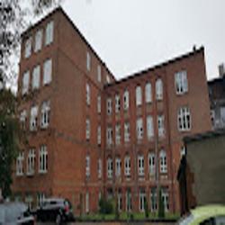 Sniadek - logo