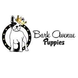 Barkavenuepuppies - logo
