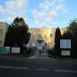 Nzozvitamed pszow - logo