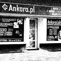 Ankaralab - logo