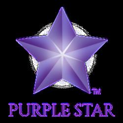 Purplestarmd - logo