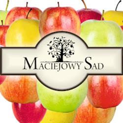 Maciejowysad - logo