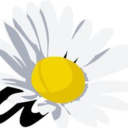 Stokrotka24 - logo