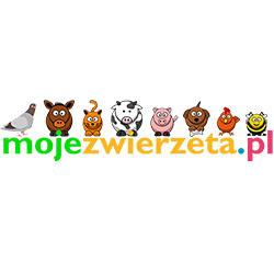Mojezwierzeta - logo