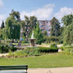 Pulawy - logo