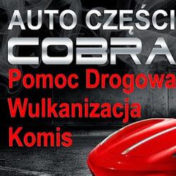 Cobra car - logo