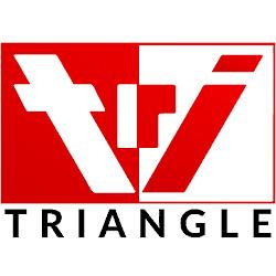 Triangletexas - logo