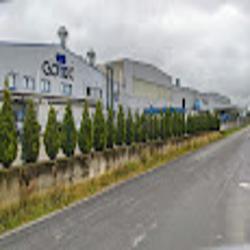 Gotec group - logo
