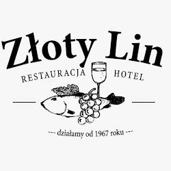 Zlotylin - logo