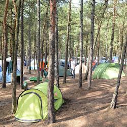Camping gdansk - logo