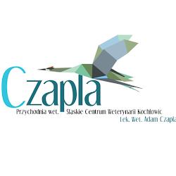 Lecznica - logo