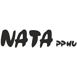 Nata - logo