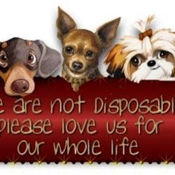 Toypupsohio - logo