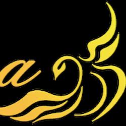 Domekfeniksa - logo