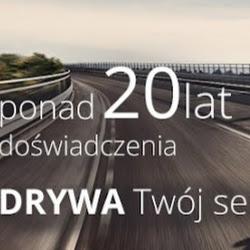 Drywaserwis - logo